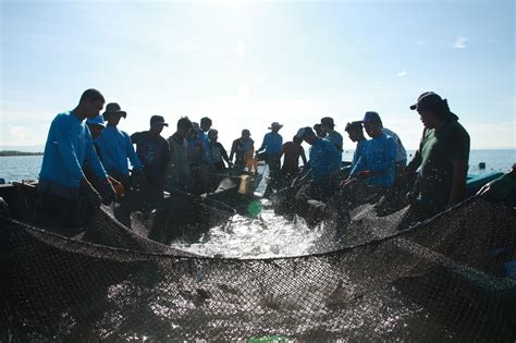 philippine fishing gear industries inc|Philippine Fishing Gear Industries .